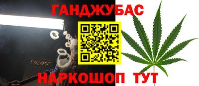 МДПВ Долгопрудный
