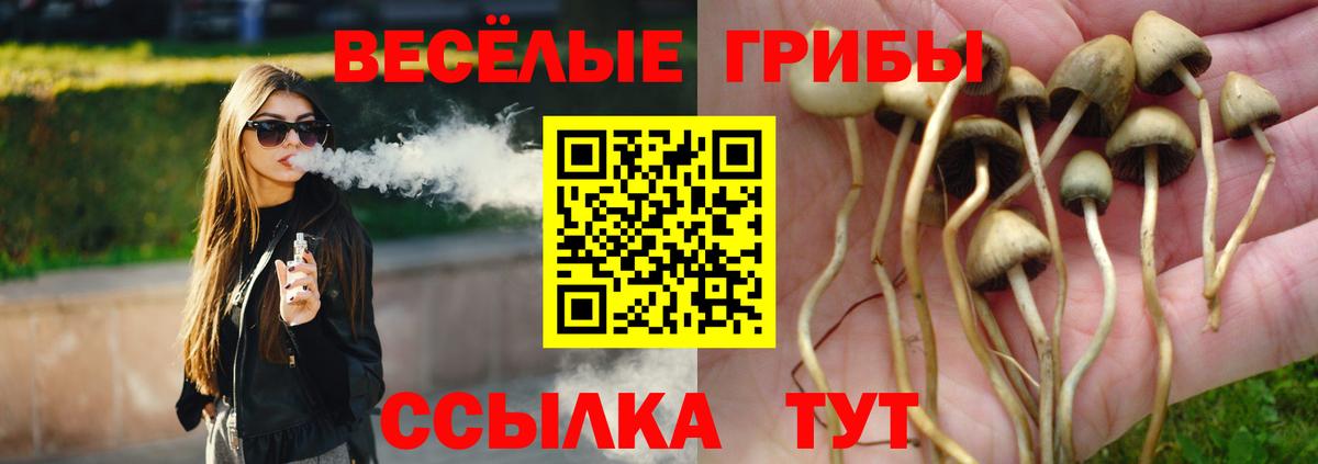Новотроицк  Псилоцибиновые грибы Psilocybe  Вход с VPN 